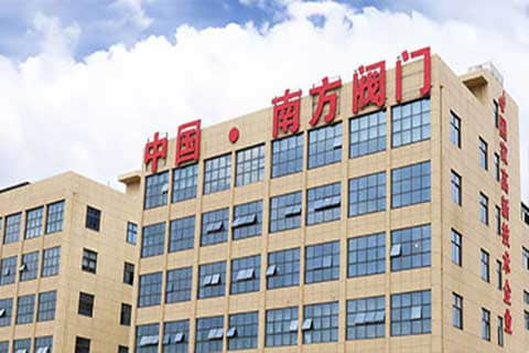 南方閥門(mén)集團(tuán)外貿(mào)獨(dú)立站建設(shè)與谷歌SEO/SEM