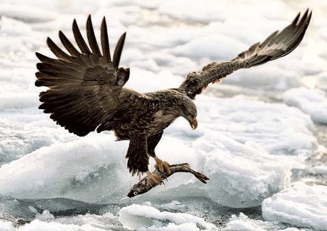 有目標，才能創造一個可觀的成就